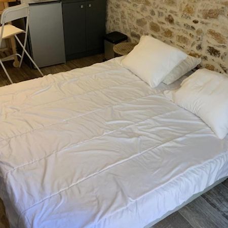 Studio With Exposed Stone Vieux Lyon ليون المظهر الخارجي الصورة
