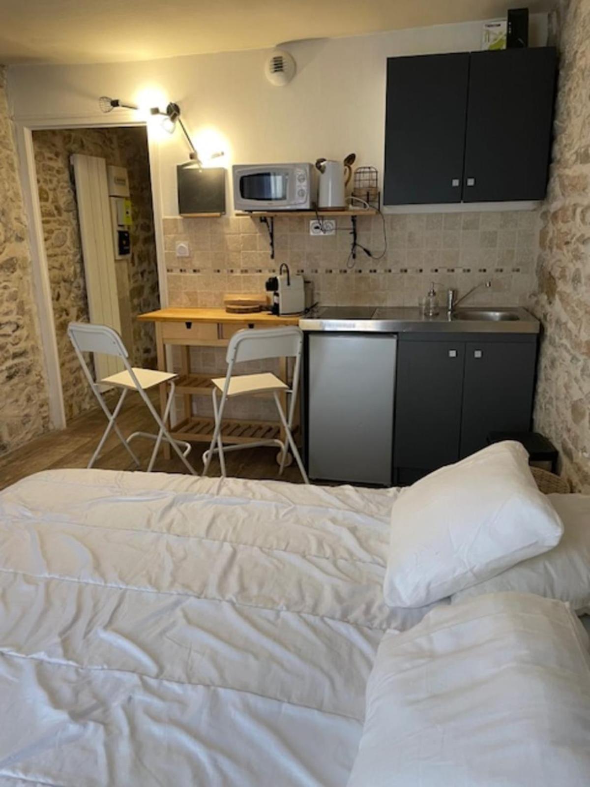 Studio With Exposed Stone Vieux Lyon ليون المظهر الخارجي الصورة
