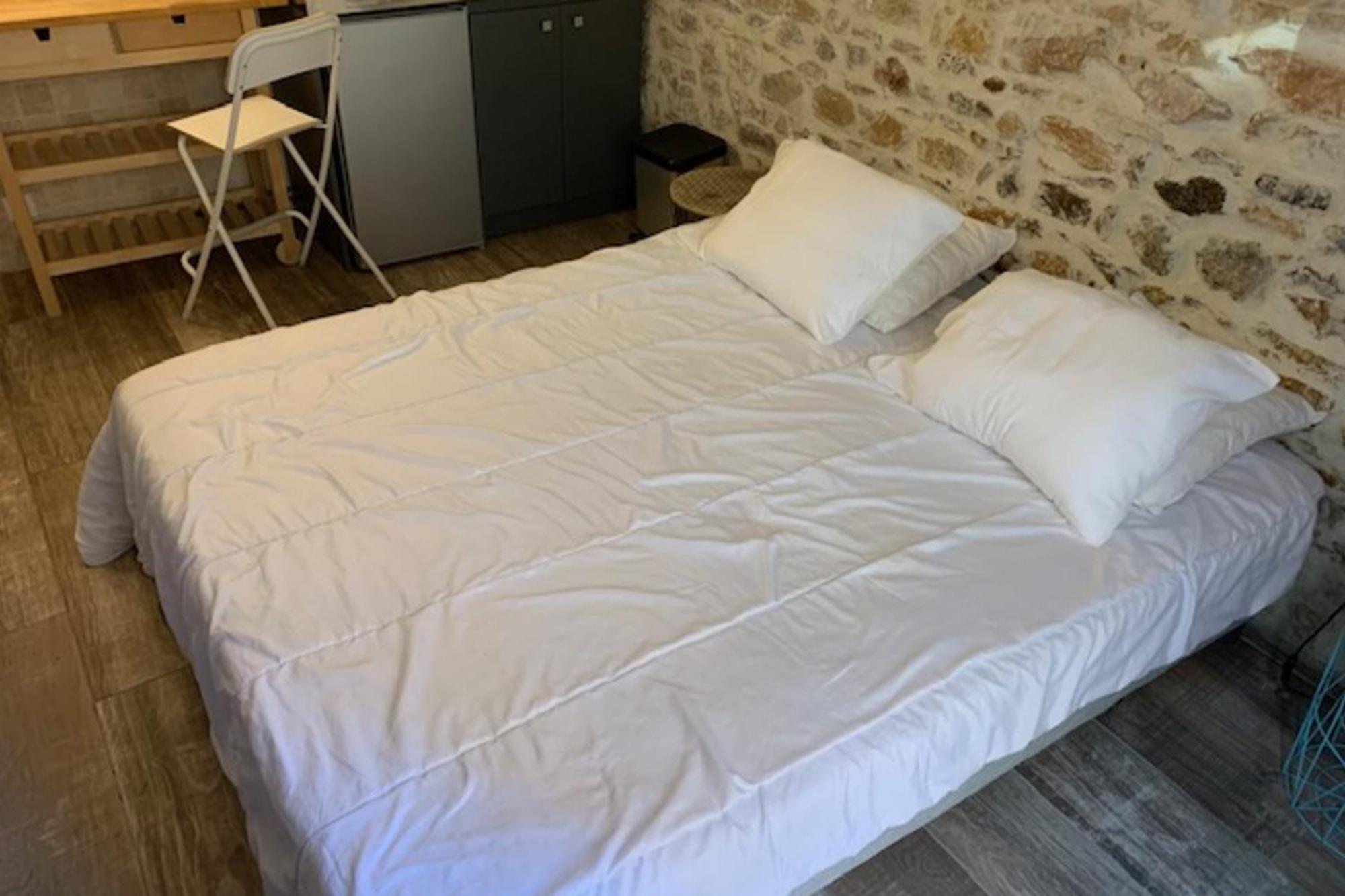 Studio With Exposed Stone Vieux Lyon ليون المظهر الخارجي الصورة
